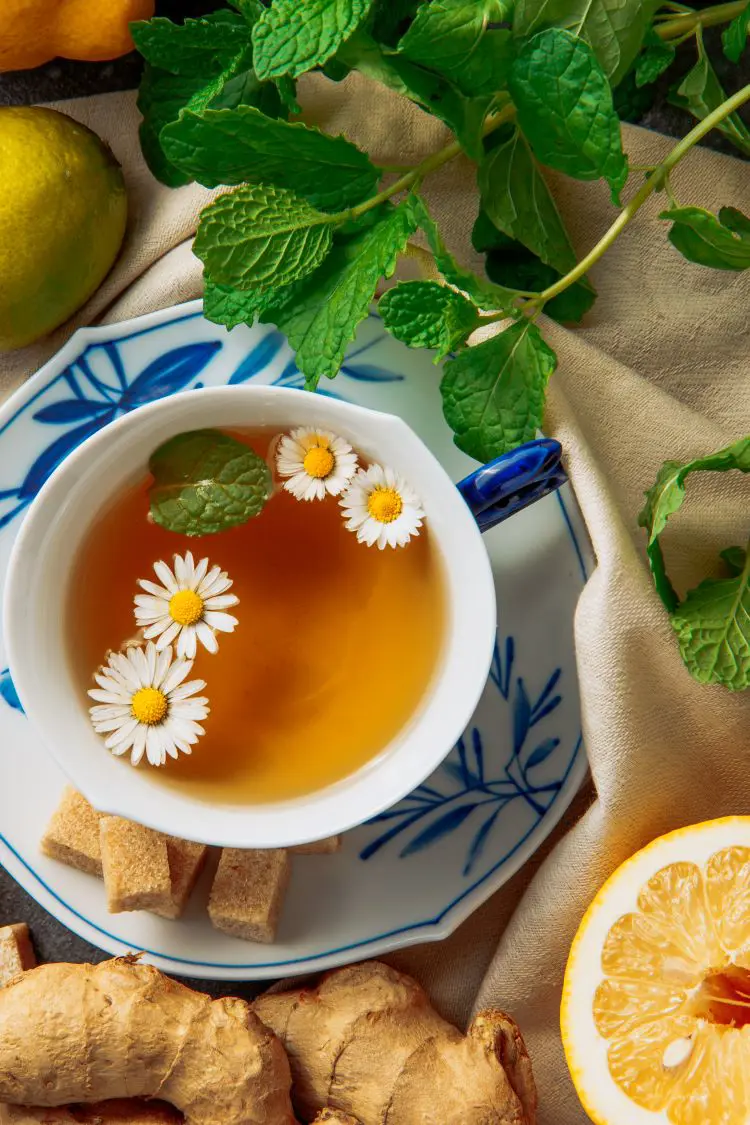 15 Best Teas For Upset Stomach