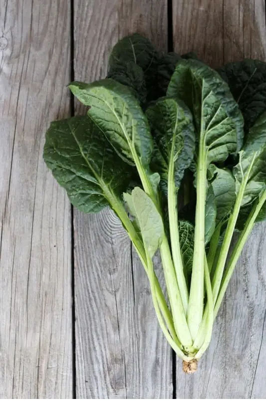 Mustard Spinach is neither a mustard nor spinach but resembles their characteristics.